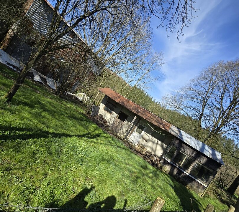 20260406_164206