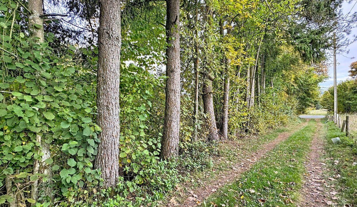 571279716_1339435988193700_2118573606255150960_n