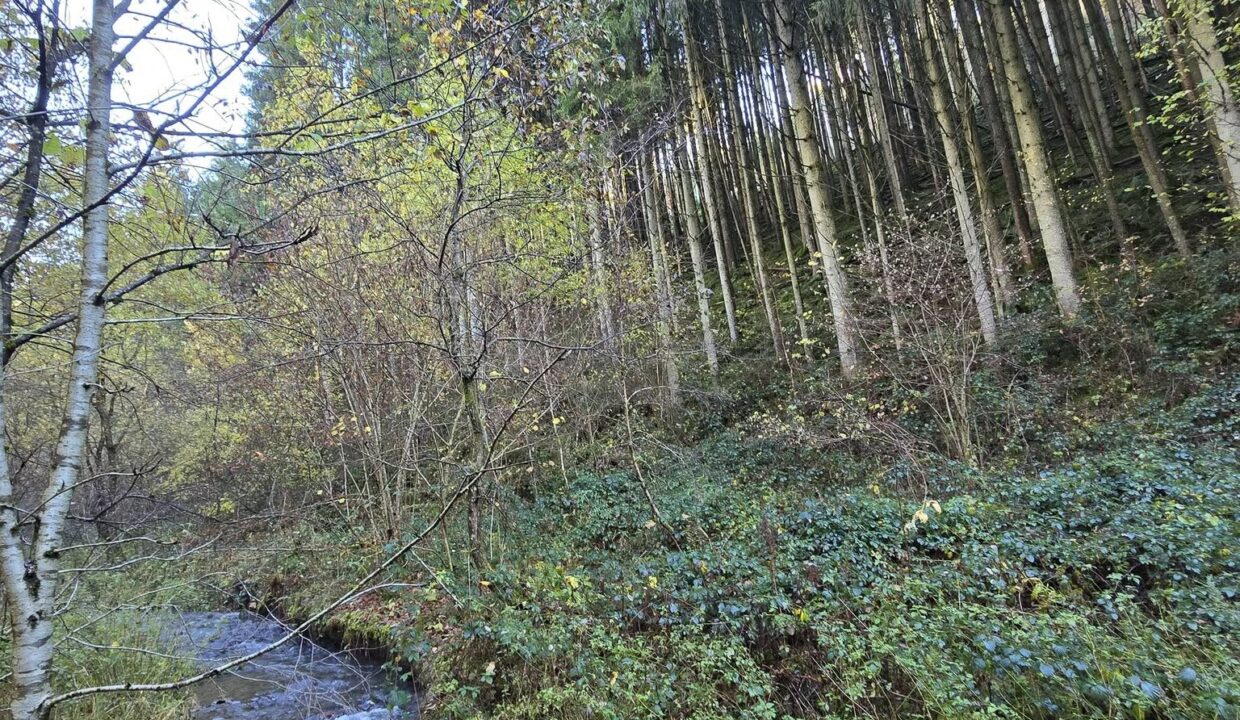 647268355_122195794664334086_412729819399492957_n