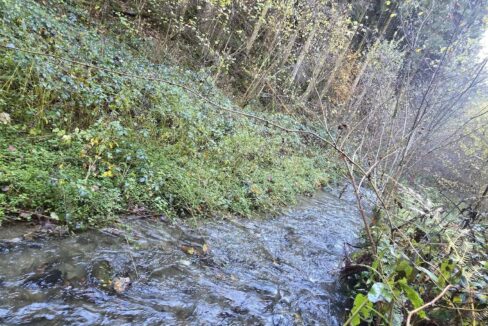 647336814_122195794826334086_5195188850194120379_n