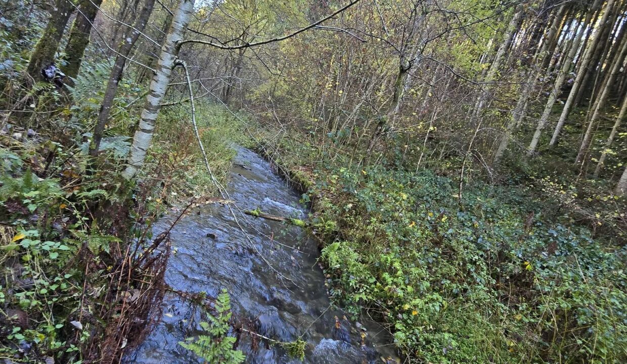 648279126_122195794874334086_1801546912945603456_n