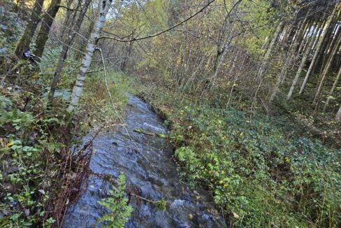 648279126_122195794874334086_1801546912945603456_n