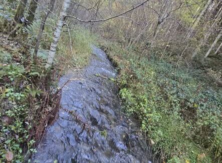 648672808_122195794706334086_7230572634716327666_n